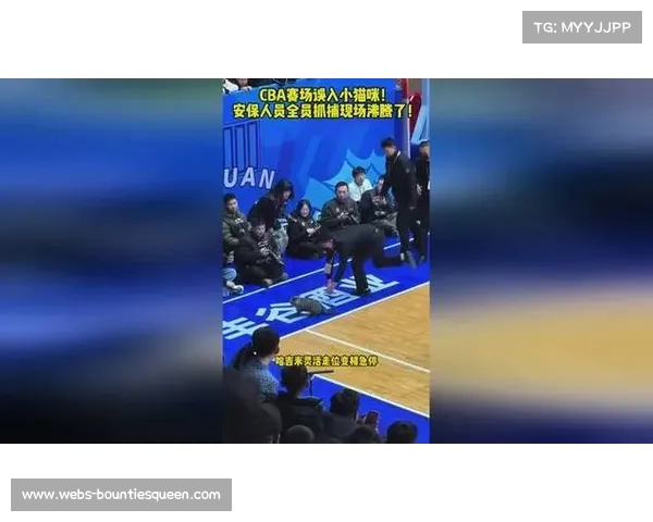 CBA赛场保安上演爆笑捉猫战，球员暂停围观缓解比赛紧张